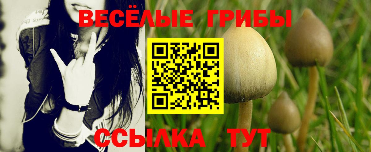 Галлюциногенные грибы Cubensis  Вход с VPN  Галлюциногенные грибы GOLDEN TEACHER  Назарово 